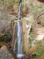 D11ButlerSppringsFalls